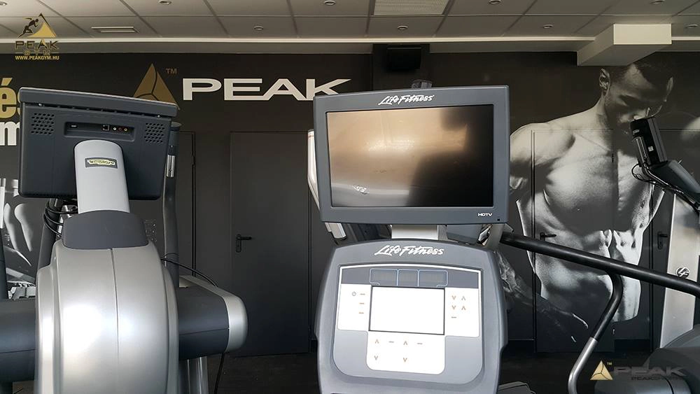 Peak Gym – Gold - 4