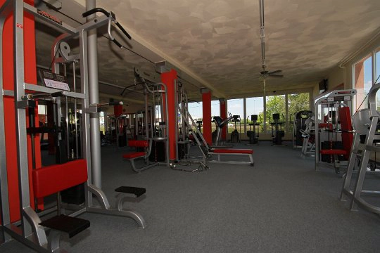 Maximum Fitness - 2