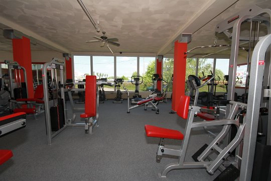 Maximum Fitness - 5