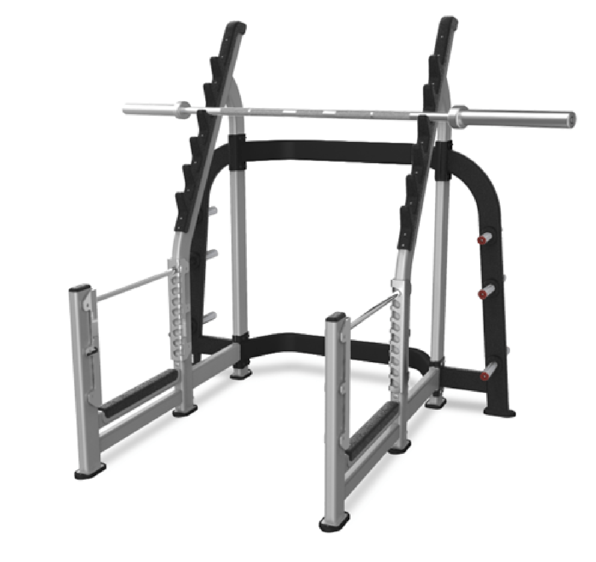 Nautilus SQUAT RACK – Súlytartó állvány és guggoló keret - Nautilus Freedom Rack