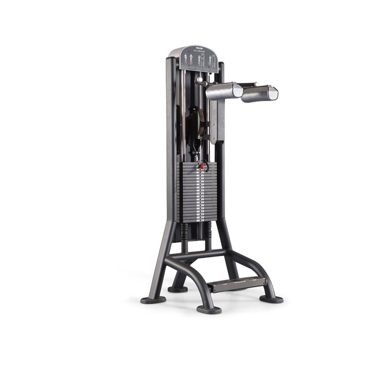 Calf Machine – Vádligép - Panatta Fitevo