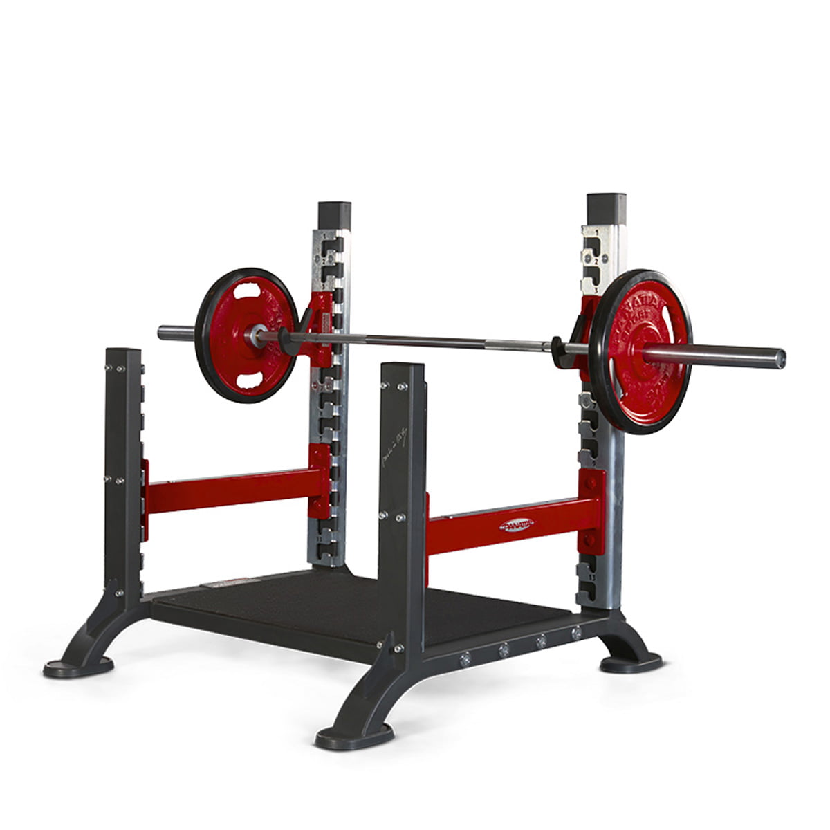 Power platform - Panatta Freeweight Hp