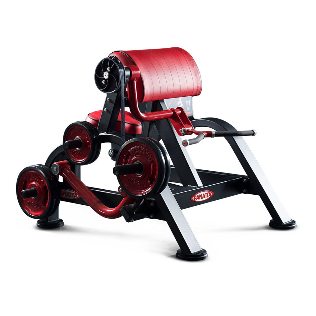 Curling Machine – Bicepsz gép - Panatta FreeWeight Special