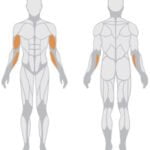 Curling Machine – Bicepsz gép - 1