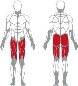 Panatta 1HP587 Hack Squat - Hack Guggoló - 0