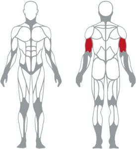 Panatta 1FO053 French Press Machine - Tricepsz Gép - 0